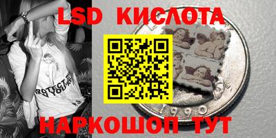 шишки Кингисепп