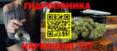 амф Кимры