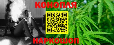шишки Кингисепп