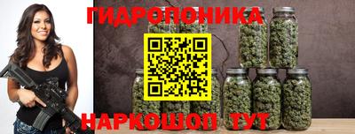 шишки Кингисепп