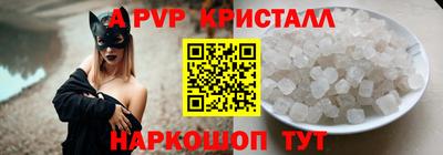 шишки Кингисепп