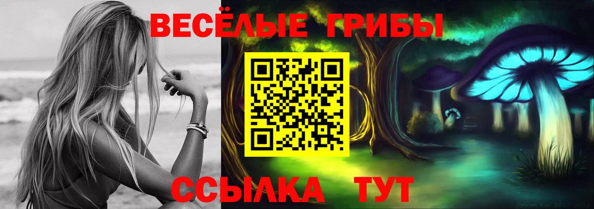 Псилоцибиновые грибы MAGIC MUSHROOMS  Вход с VPN  Шали 