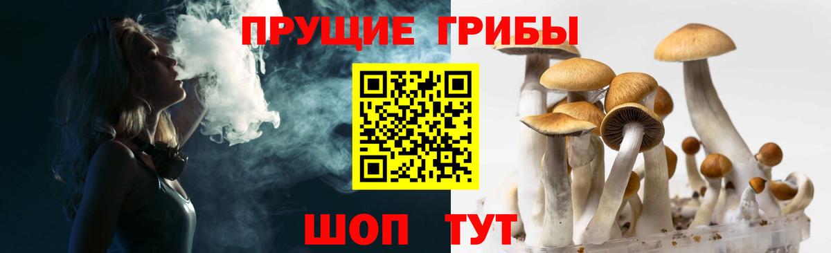 Галлюциногенные грибы Magic Shrooms Шали