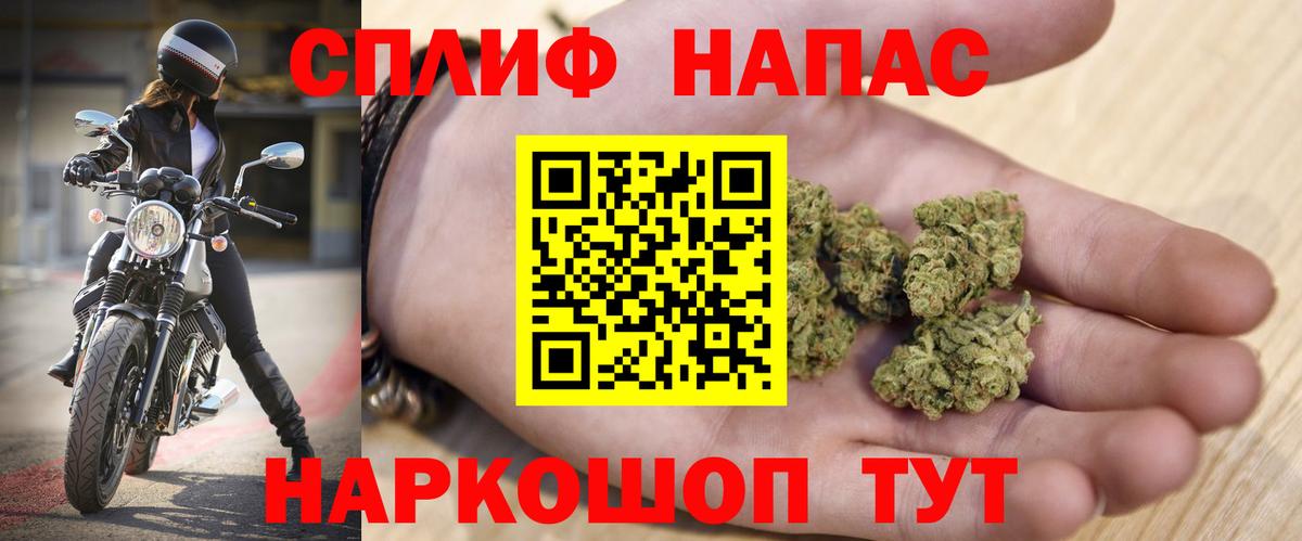 МАРИХУАНА гибрид Шали
